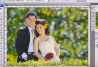 Bài 10: Thiết kế album, màu phối với sắc đỏ