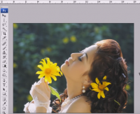 Bài 13: Sắc màu hội họa