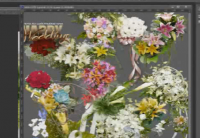 Bài 26: Larger Photo (d)