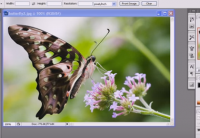 Bài 3: Black and White tuyệt vời