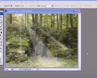 Bài 7: Nắng xuyên qua hàng cây