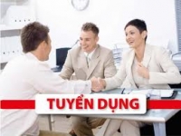 Công ty An Việt Phát tuyển nhân viên đồ hoạ