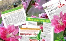 Học Indesign ở địa chỉ uy tín tại quận 6 TPHCM