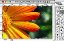 Học Photoshop - Bài 5: Sử dụng công cụ Magic wand Tool