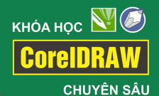 Khóa học Corel online cấp tốc tại Hải Phòng