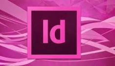 Khóa học Indesign online cho người đi làm tại Đà Nẵng 