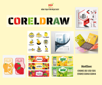 Khóa Học Thiết Kế Đồ Họa Với CorelDraw – Tại TP. Hồ Chí Minh