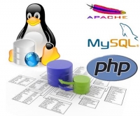 Nơi học lập trình web với PHP & MYSQL ở quận 10, TPHCM