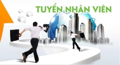 Tuyển Giáo Viên Tin Học Văn Phòng