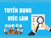 Tuyển nhân viên  thiết kế và lập trình web 2017