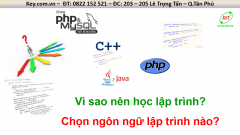 Vì sao nên học lập trình và học ngôn ngữ lập trình nào?