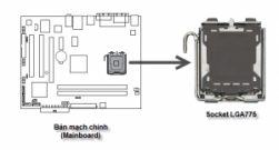 Cách ráp CPU vào mainboard chuẩn LGA775
