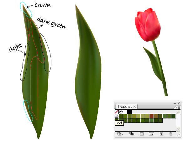 huong dan cach ve hoa tulips bang illustrator cs6