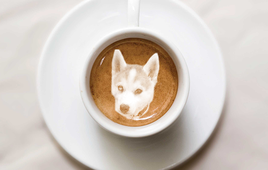 cafe, photoshop